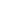 favicon prestiz white 00 100x100 1